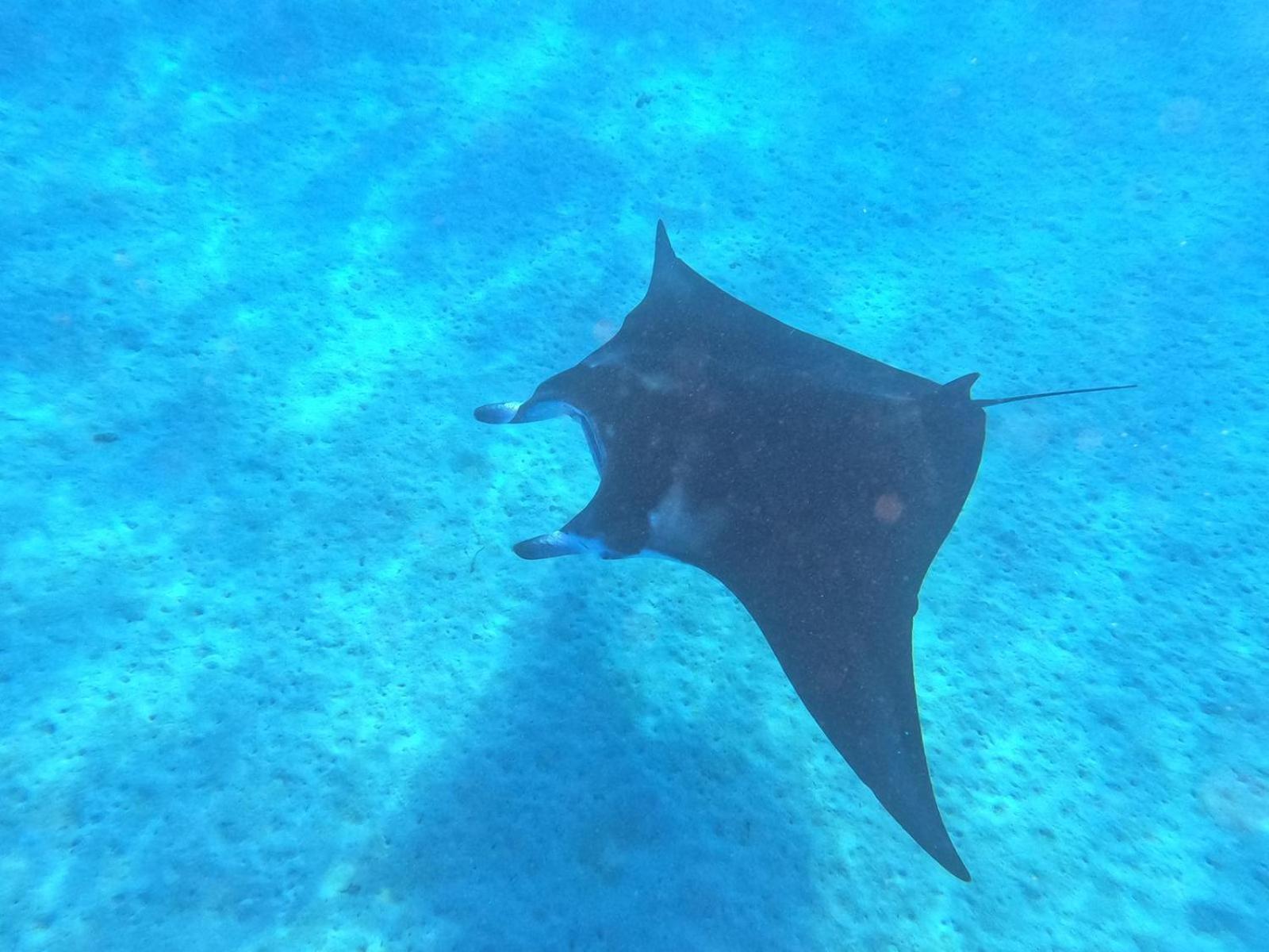 Appartamento Penu Maurua Te-Fare-Arii Esterno foto